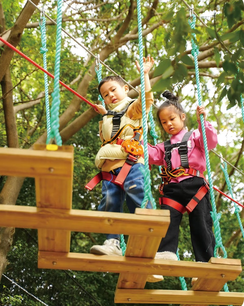 Outdoor Adventure Course - Parco Avventura Personalizzato Colorfulnets con Percorso