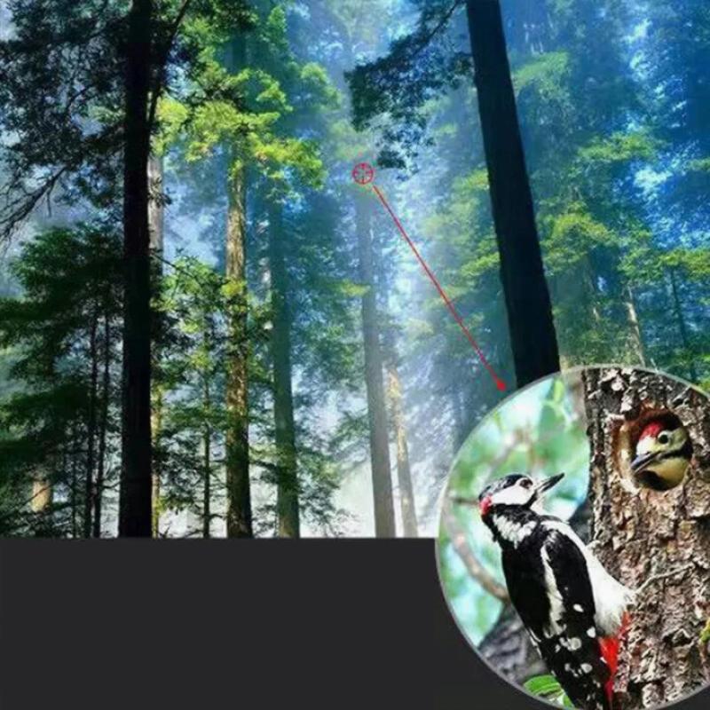 Telescopio Monoculare Portatil - Outdoor Adventure Images recensione e prezzo